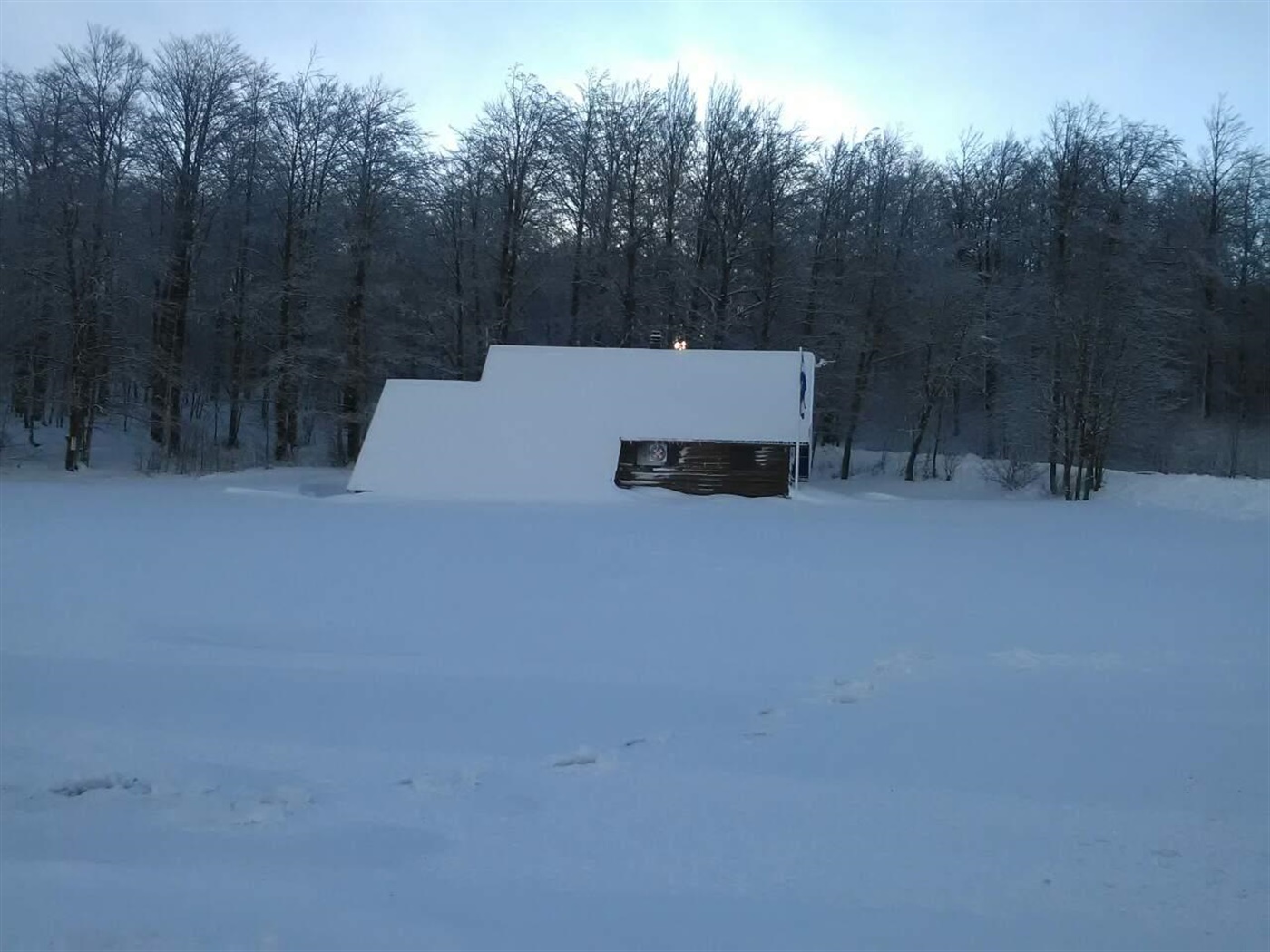 Svako deblo bi se greblo... zahvala sponzorima