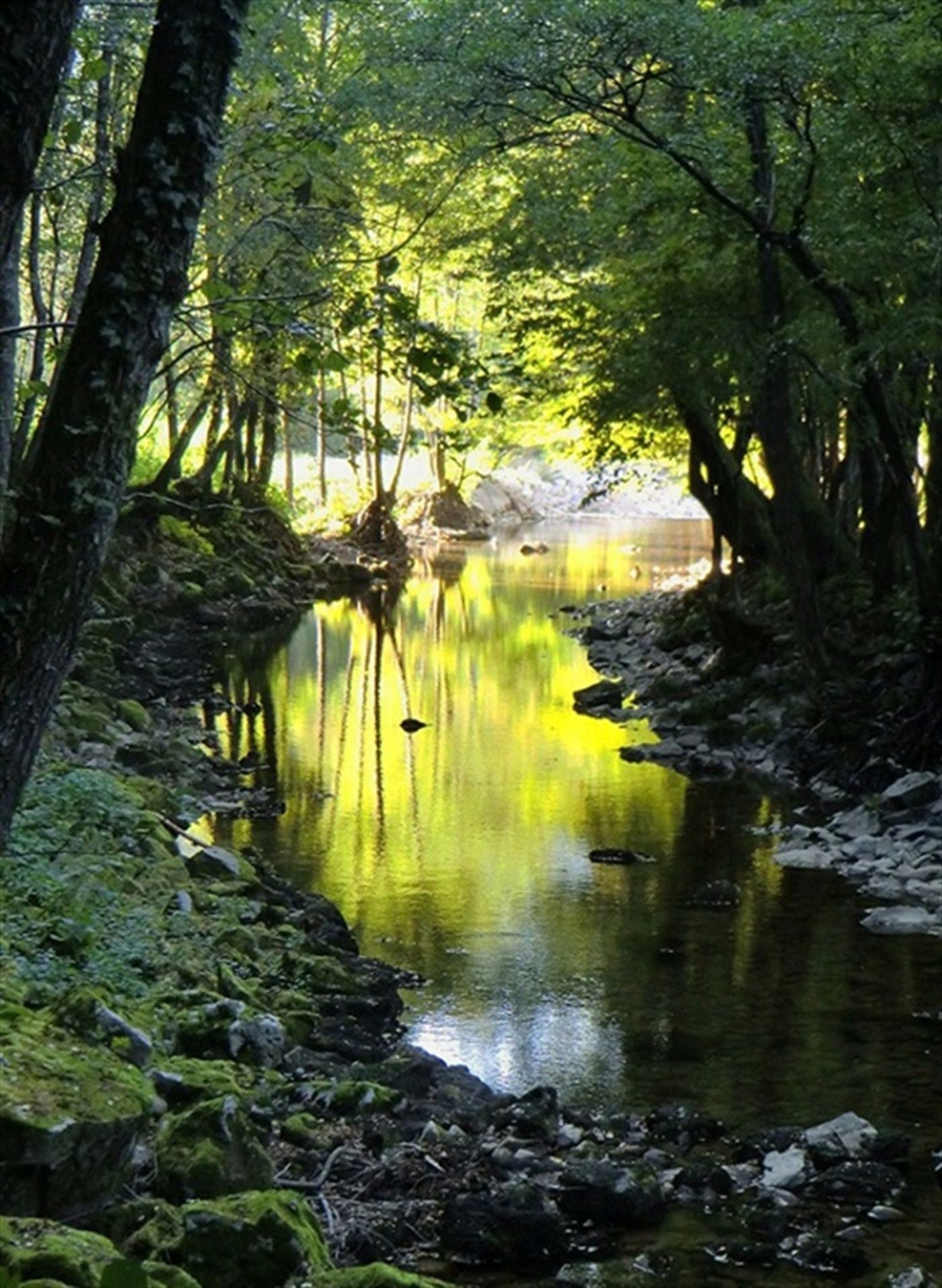 Ponovno dvije akcije u jedan dan na Riječkom području