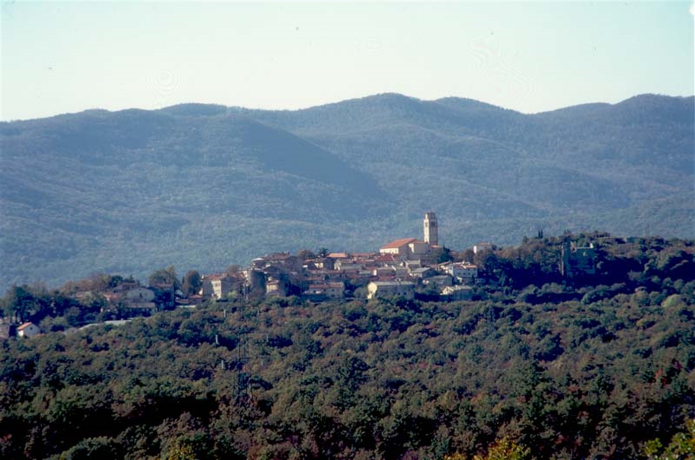 Noćna potraga na području Kastva